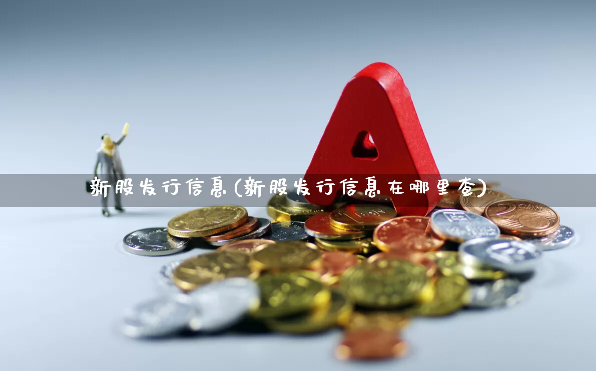 新股发行信息(新股发行信息在哪里查)_https://www.xzdzchf.com_上交所_第1张