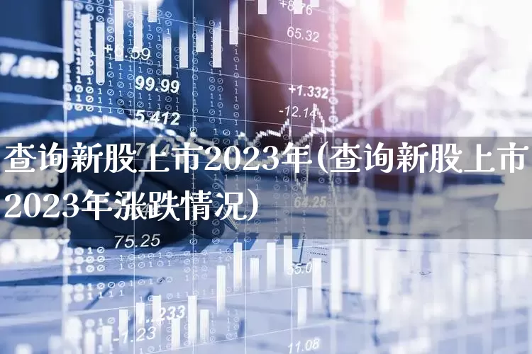 查询新股上市2023年(查询新股上市2023年涨跌情况)_https://www.xzdzchf.com_北交所_第1张