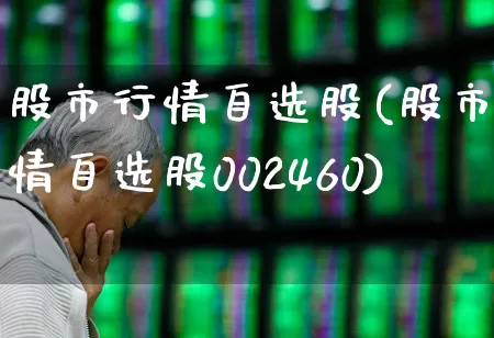 股市行情自选股(股市行情自选股002460)_https://www.xzdzchf.com_科创板_第1张