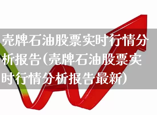 壳牌石油股票实时行情分析报告(壳牌石油股票实时行情分析报告最新)_https://www.xzdzchf.com_深交所_第1张