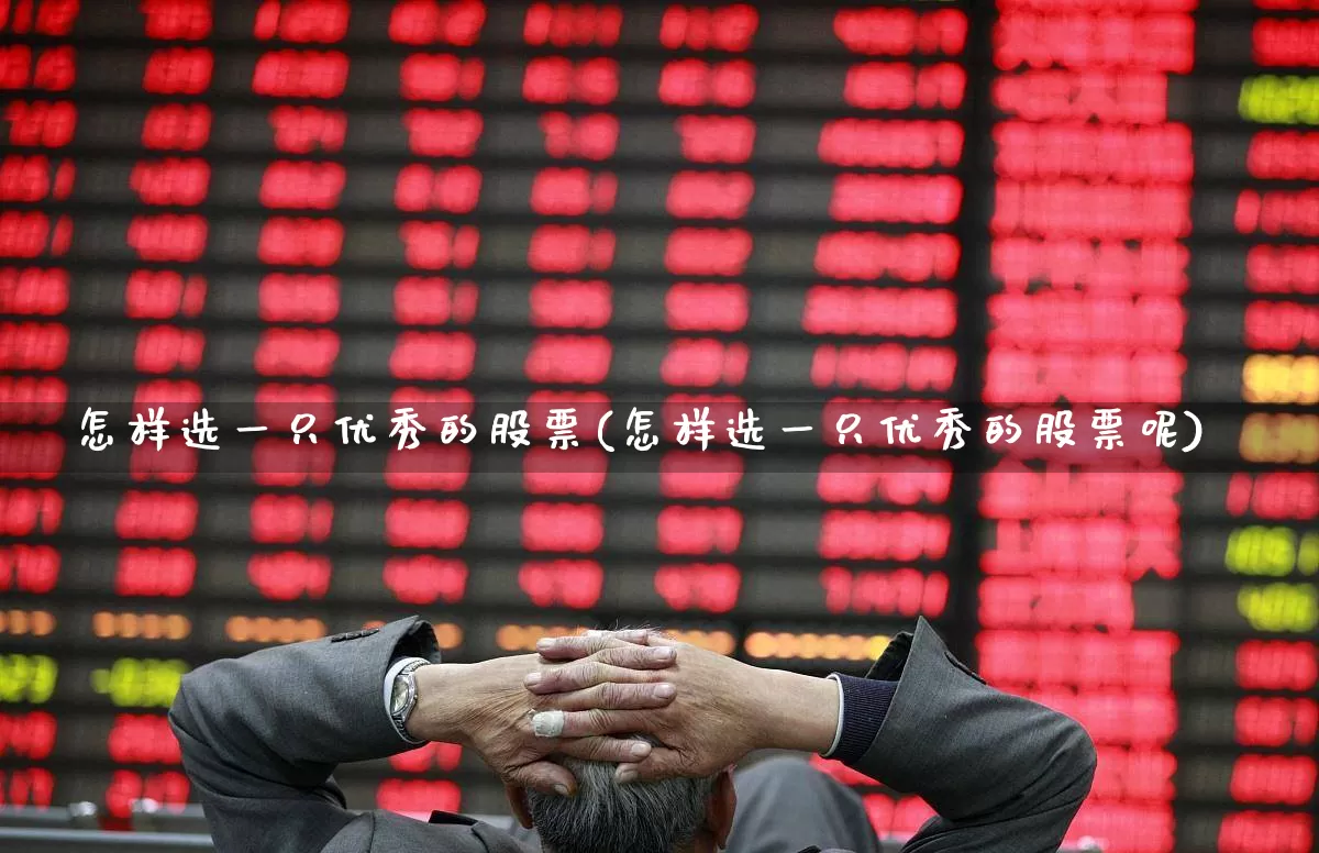 怎样选一只优秀的股票(怎样选一只优秀的股票呢)_https://www.xzdzchf.com_创业板_第1张