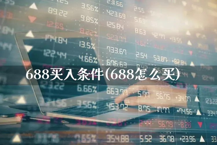 688买入条件(688怎么买)_https://www.xzdzchf.com_深交所_第1张