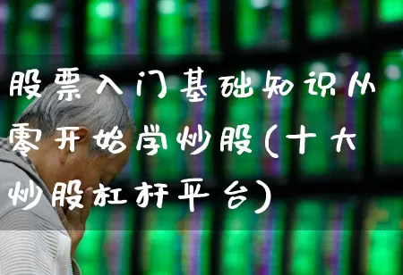 股票入门基础知识从零开始学炒股(十大炒股杠杆平台)_https://www.xzdzchf.com_上交所_第1张