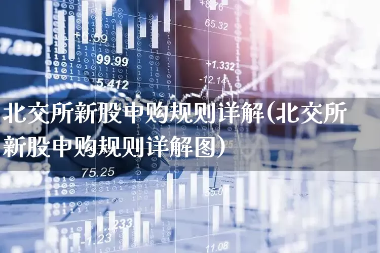 北交所新股申购规则详解(北交所新股申购规则详解图)_https://www.xzdzchf.com_创业板_第1张