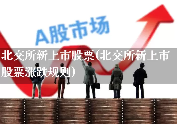 北交所新上市股票(北交所新上市股票涨跌规则)_https://www.xzdzchf.com_北交所_第1张
