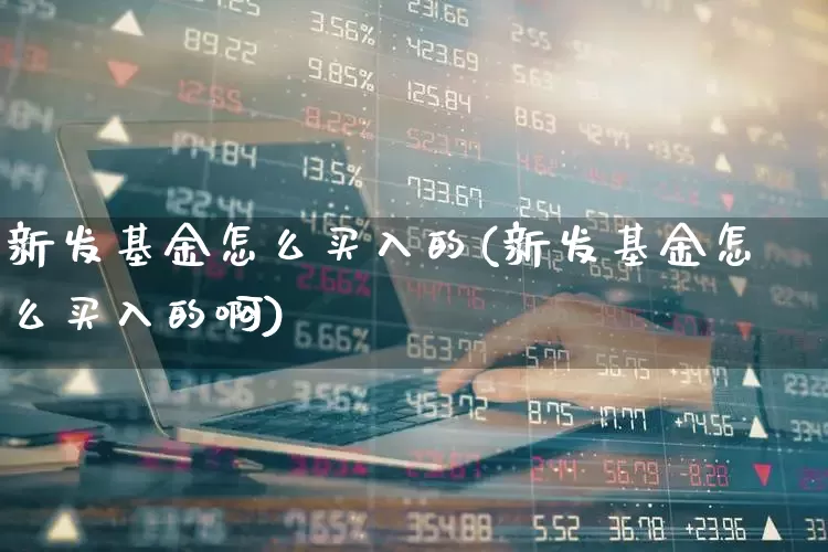 新发基金怎么买入的(新发基金怎么买入的啊)_https://www.xzdzchf.com_创业板_第1张