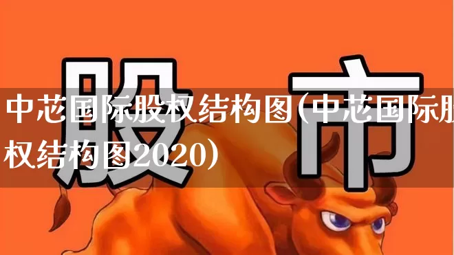 中芯国际股权结构图(中芯国际股权结构图2020)_https://www.xzdzchf.com_科创板_第1张