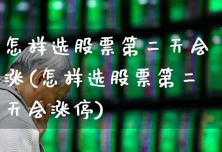 怎样选股票第二天会涨(怎样选股票第二天会涨停)_https://www.xzdzchf.com_科创板_第1张