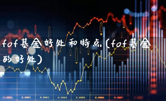 fof基金好处和特点(fof基金的好处)_https://www.xzdzchf.com_创业板_第1张