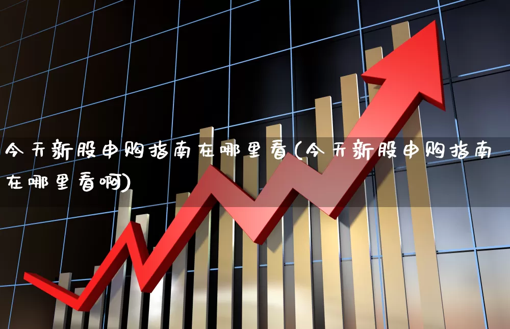 今天新股申购指南在哪里看(今天新股申购指南在哪里看啊)_https://www.xzdzchf.com_科创板_第1张