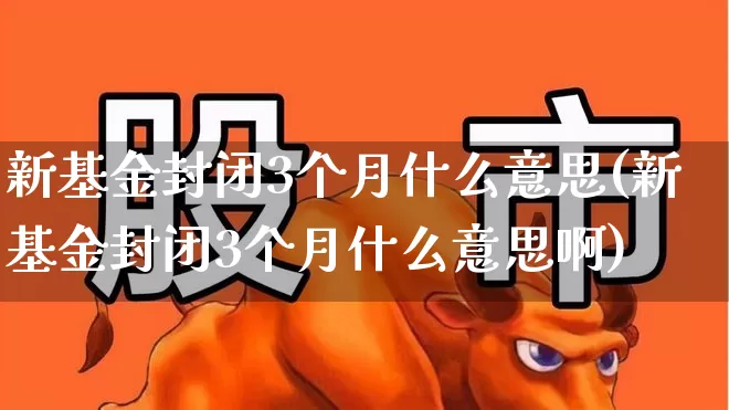 新基金封闭3个月什么意思(新基金封闭3个月什么意思啊)_https://www.xzdzchf.com_创业板_第1张