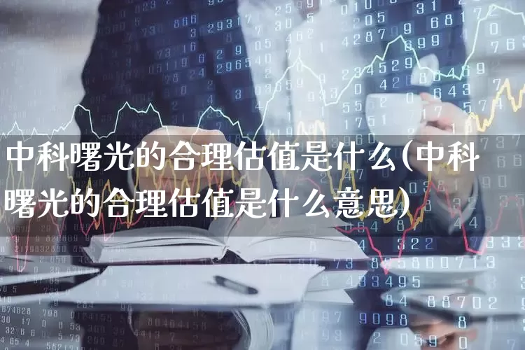 中科曙光的合理估值是什么(中科曙光的合理估值是什么意思)_https://www.xzdzchf.com_深交所_第1张