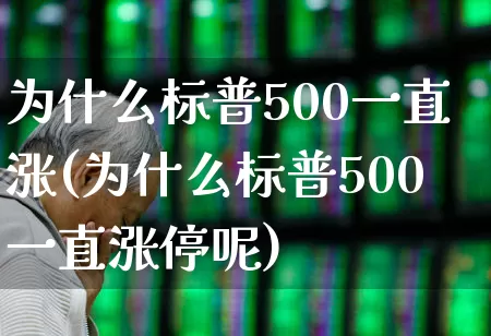 为什么标普500一直涨(为什么标普500一直涨停呢)_https://www.xzdzchf.com_创业板_第1张