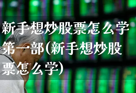 新手想炒股票怎么学第一部(新手想炒股票怎么学)_https://www.xzdzchf.com_深交所_第1张