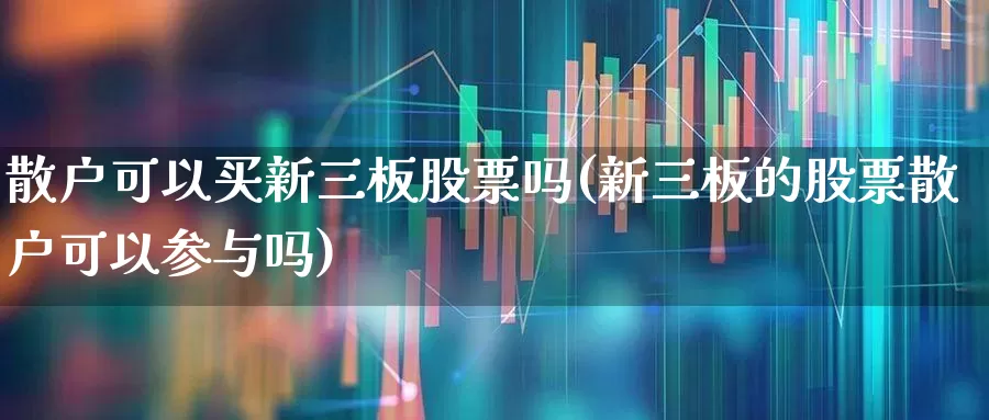 散户可以买新三板股票吗(新三板的股票散户可以参与吗)_https://www.xzdzchf.com_创业板_第1张
