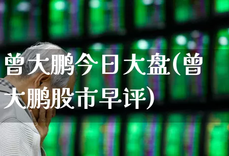 曾大鹏今日大盘(曾大鹏股市早评)_深交所_第1张_财经网 曾大鹏今日大盘(曾大鹏股市早评)_https://www.xzdzchf.com_深交所_第1张