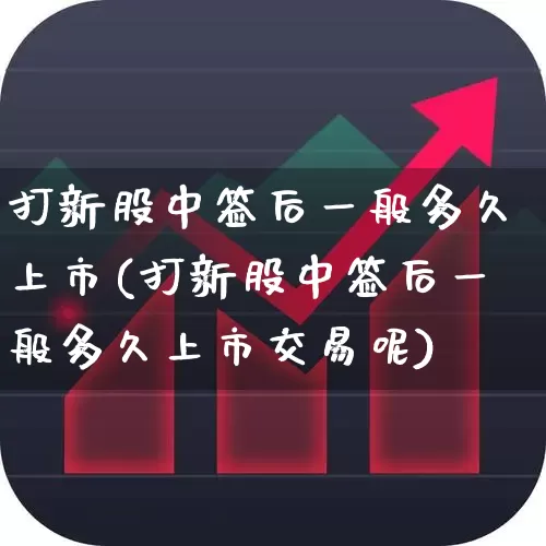 打新股中签后一般多久上市(打新股中签后一般多久上市交易呢)_https://www.xzdzchf.com_北交所_第1张