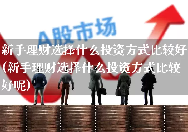 新手理财选择什么投资方式比较好(新手理财选择什么投资方式比较好呢)_https://www.xzdzchf.com_创业板_第1张
