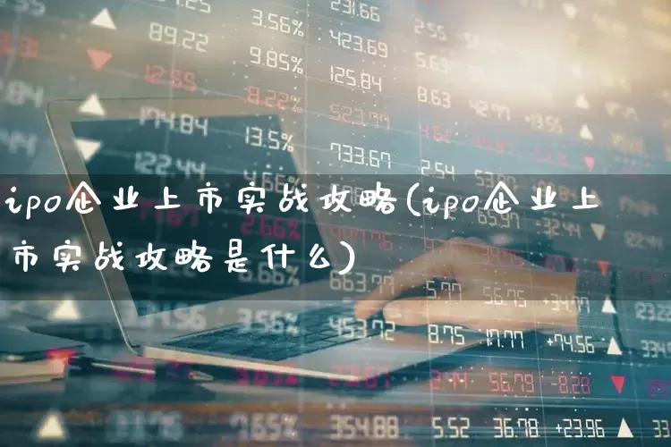 ipo企业上市实战攻略(ipo企业上市实战攻略是什么)_https://www.xzdzchf.com_深交所_第1张