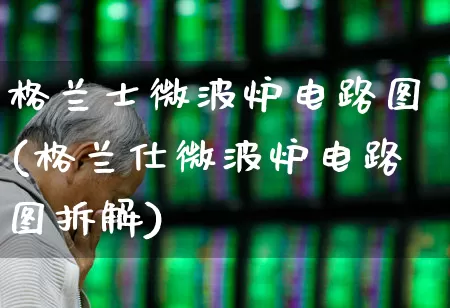 格兰士微波炉电路图(格兰仕微波炉电路图拆解)_https://www.xzdzchf.com_创业板_第1张