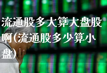 流通股多大算大盘股啊(流通股多少算小盘)_https://www.xzdzchf.com_创业板_第1张