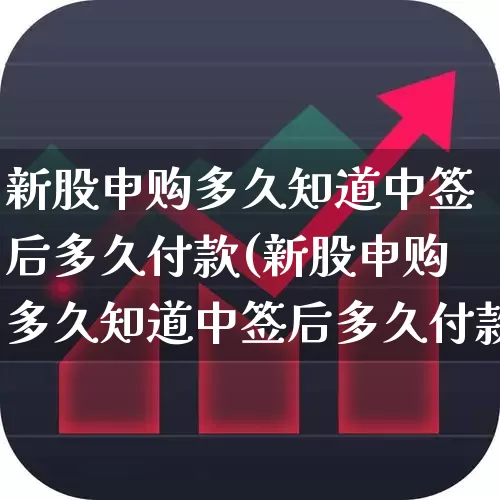 新股申购多久知道中签后多久付款(新股申购多久知道中签后多久付款成功)_https://www.xzdzchf.com_北交所_第1张