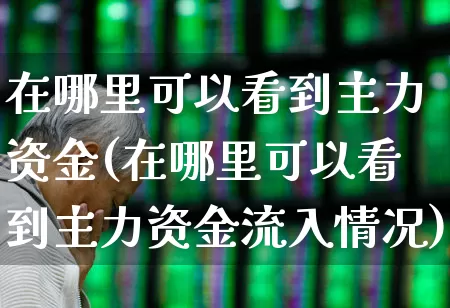 在哪里可以看到主力资金(在哪里可以看到主力资金流入情况)_https://www.xzdzchf.com_深交所_第1张