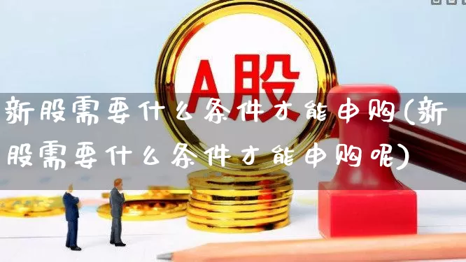 新股需要什么条件才能申购(新股需要什么条件才能申购呢)_https://www.xzdzchf.com_上交所_第1张