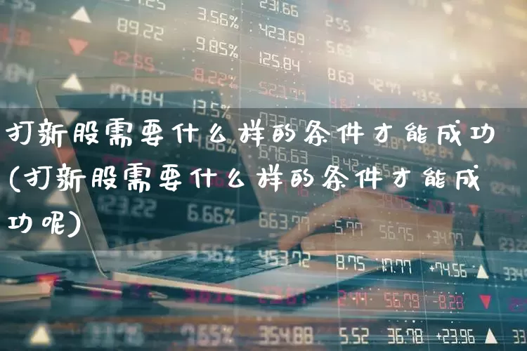 打新股需要什么样的条件才能成功(打新股需要什么样的条件才能成功呢)_https://www.xzdzchf.com_北交所_第1张