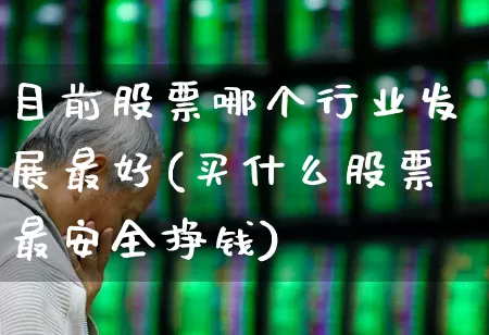 目前股票哪个行业发展最好(买什么股票最安全挣钱)_https://www.xzdzchf.com_深交所_第1张