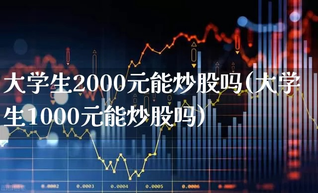 大学生2000元能炒股吗(大学生1000元能炒股吗)_https://www.xzdzchf.com_科创板_第1张