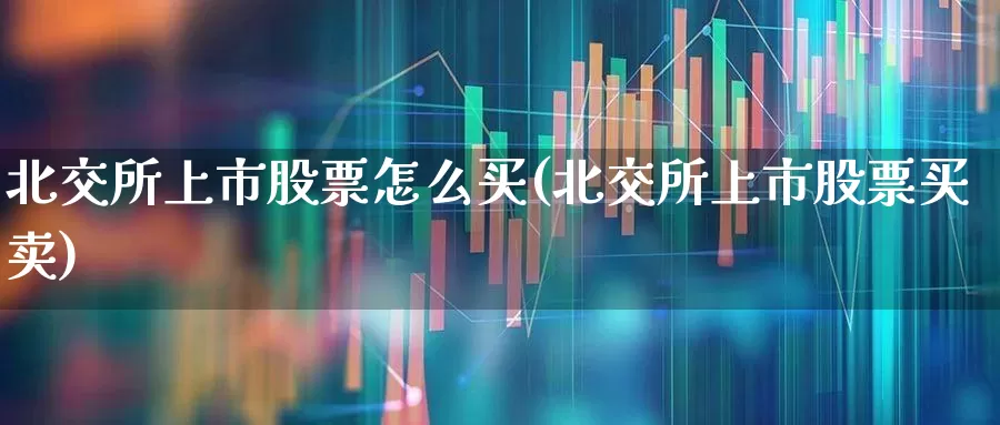 北交所上市股票怎么买(北交所上市股票买卖)_https://www.xzdzchf.com_创业板_第1张