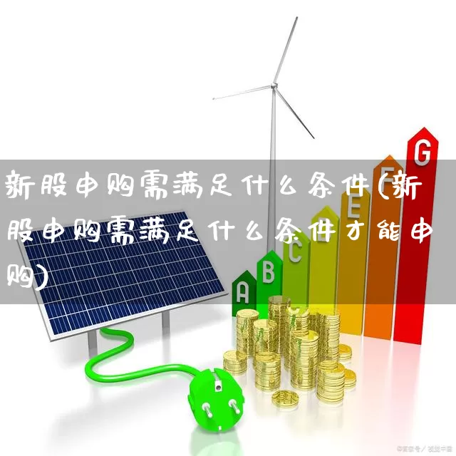 新股申购需满足什么条件(新股申购需满足什么条件才能申购)_https://www.xzdzchf.com_上交所_第1张