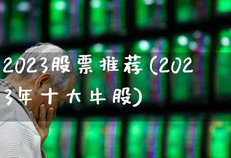 2023股票推荐(2023年十大牛股)_https://www.xzdzchf.com_创业板_第1张