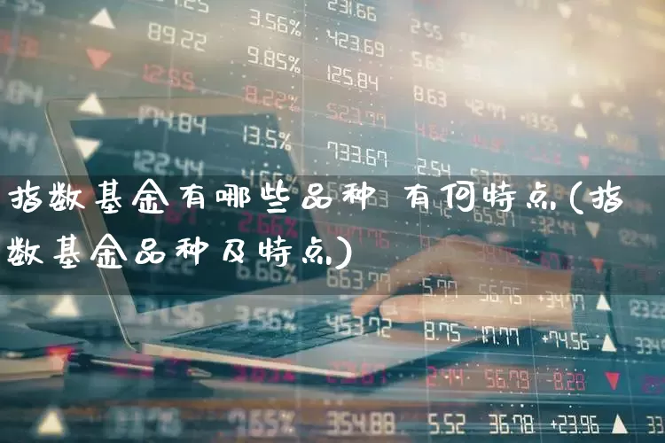 指数基金有哪些品种 有何特点(指数基金品种及特点)_https://www.xzdzchf.com_创业板_第1张