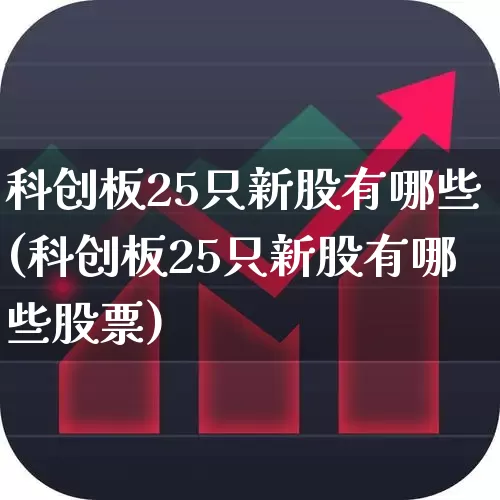 科创板25只新股有哪些(科创板25只新股有哪些股票)_https://www.xzdzchf.com_创业板_第1张