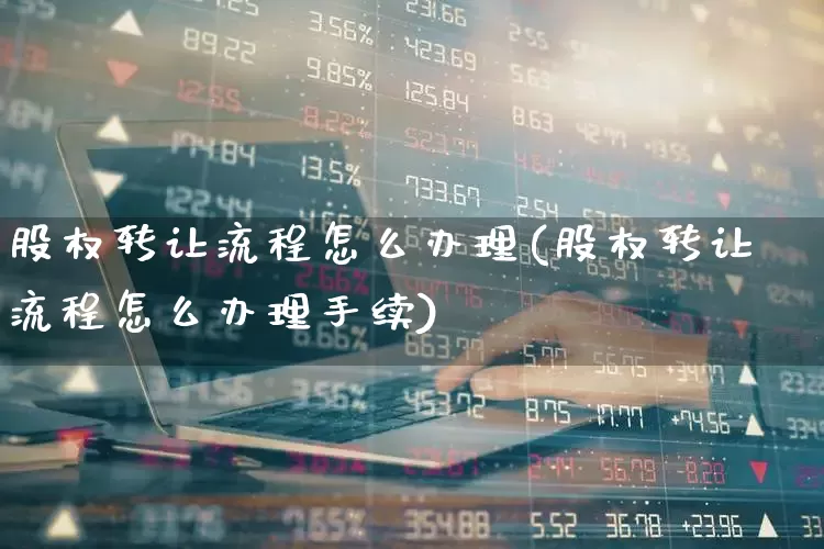 股权转让流程怎么办理(股权转让流程怎么办理手续)_https://www.xzdzchf.com_上交所_第1张
