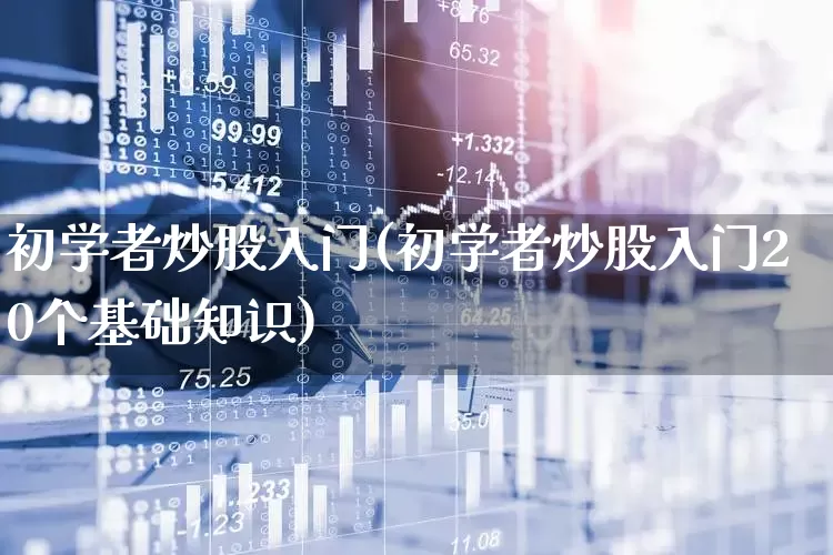初学者炒股入门(初学者炒股入门20个基础知识)_https://www.xzdzchf.com_创业板_第1张