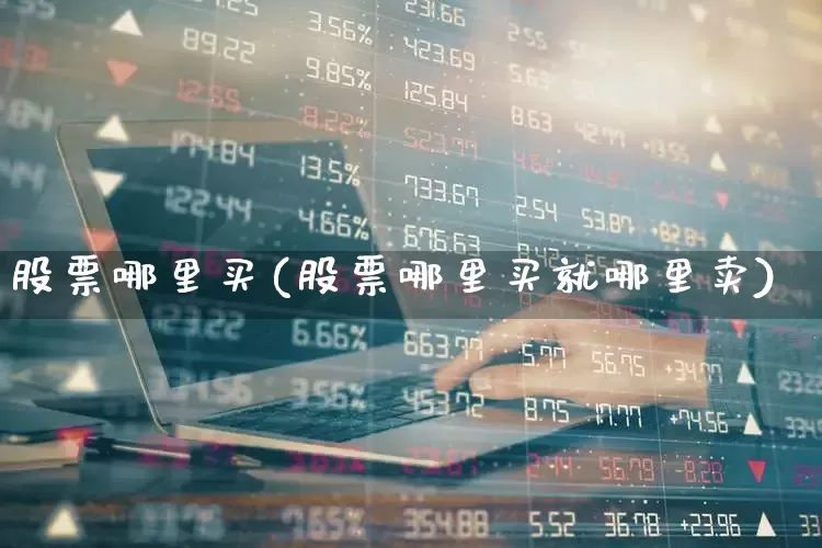 股票哪里买(股票哪里买就哪里卖)_https://www.xzdzchf.com_科创板_第1张