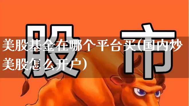 美股基金在哪个平台买(国内炒美股怎么开户)_https://www.xzdzchf.com_科创板_第1张