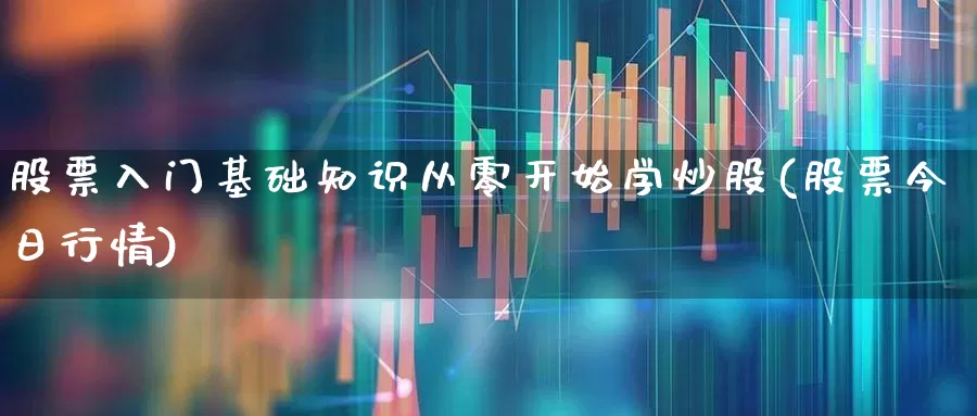 股票入门基础知识从零开始学炒股(股票今日行情)_https://www.xzdzchf.com_深交所_第1张