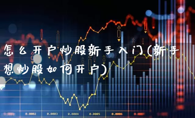 怎么开户炒股新手入门(新手想炒股如何开户)_https://www.xzdzchf.com_创业板_第1张