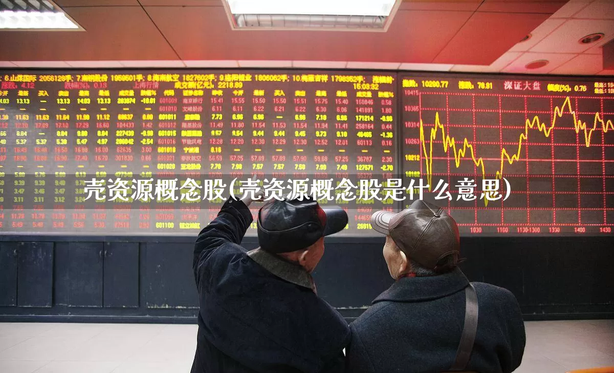 壳资源概念股(壳资源概念股是什么意思)_深交所_第1张_财经网 壳资源概念股(壳资源概念股是什么意思)_https://www.xzdzchf.com_深交所_第1张