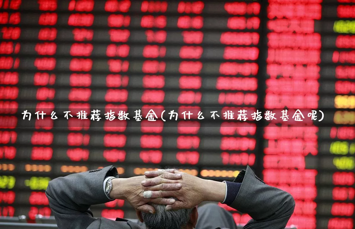为什么不推荐指数基金(为什么不推荐指数基金呢)_https://www.xzdzchf.com_创业板_第1张