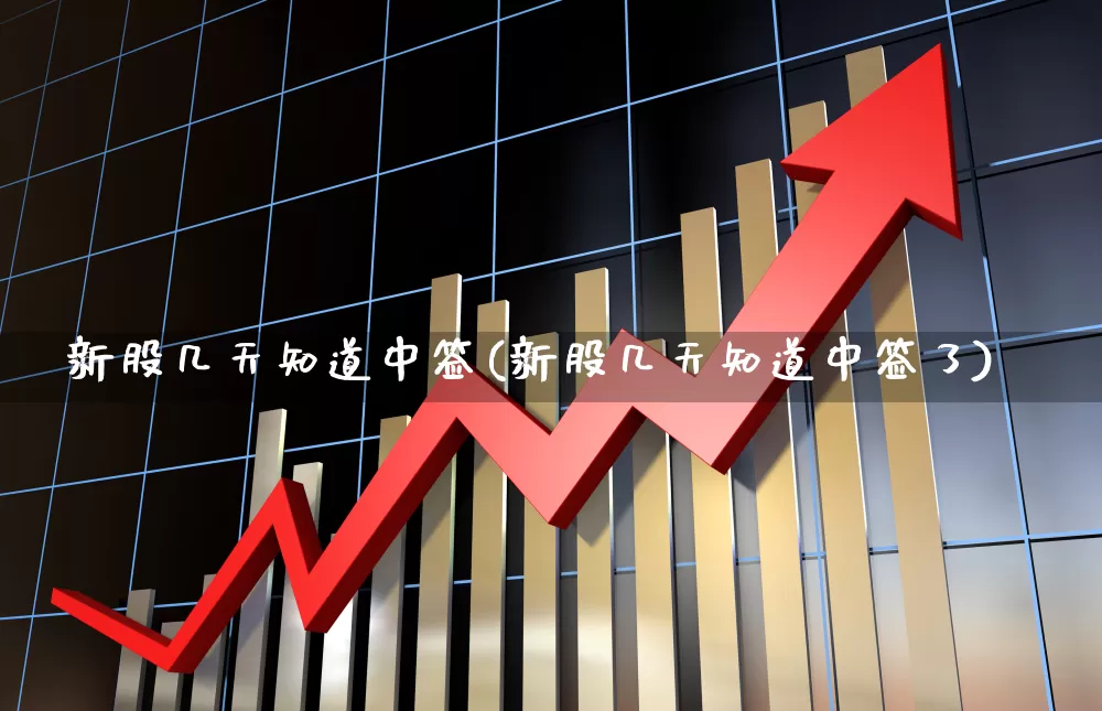 新股几天知道中签(新股几天知道中签了)_https://www.xzdzchf.com_创业板_第1张