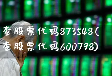 查股票代码873548(查股票代码600798)_https://www.xzdzchf.com_北交所_第1张