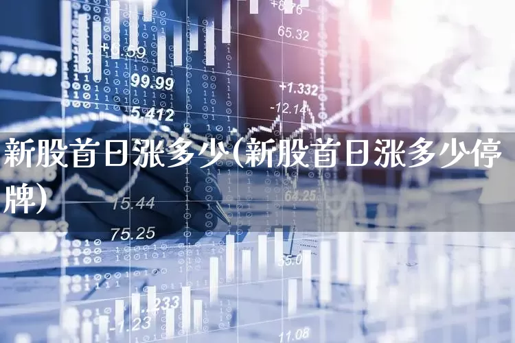 新股首日涨多少(新股首日涨多少停牌)_https://www.xzdzchf.com_深交所_第1张