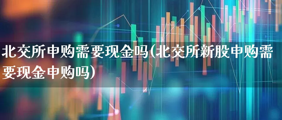 北交所申购需要现金吗(北交所新股申购需要现金申购吗)_https://www.xzdzchf.com_北交所_第1张