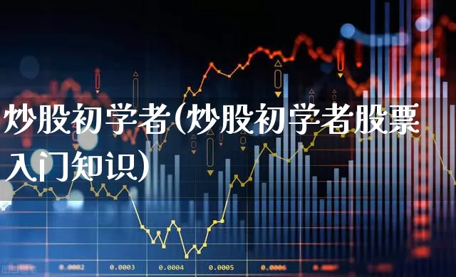 炒股初学者(炒股初学者股票入门知识)_https://www.xzdzchf.com_上交所_第1张