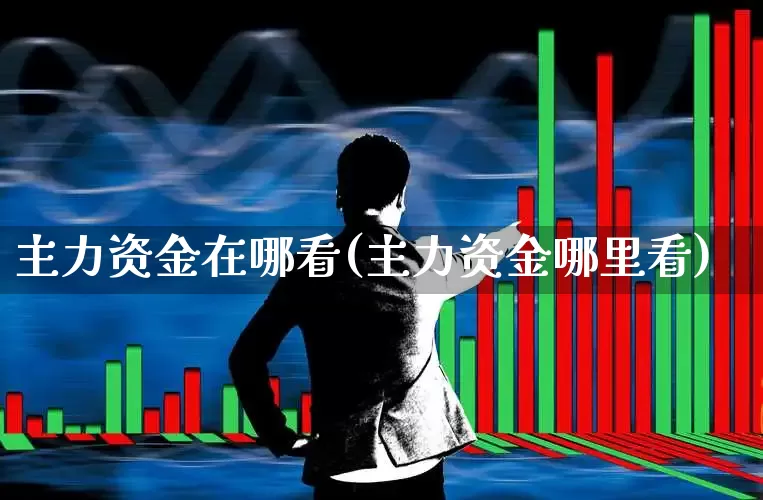 主力资金在哪看(主力资金哪里看)_https://www.xzdzchf.com_创业板_第1张